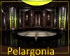 (OD) Pelargonia