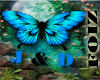 DV . YOUTUBE J & D