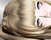 chisa blondie