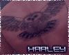 Owl Tattoo - Male