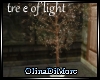 (OD) Tree of light