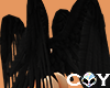 Succu Wings