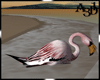 Flamingo 1