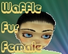 [R3] Waffle Fur 1F