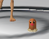 [Ice] Diglett Pet