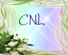 [CNL]DOC flower 10
