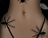 body spiders