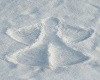 Anim Snow Angel Shape