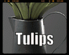 *Tulips