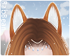 B| Foxy Ears - Fox