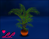 copper potted plant2