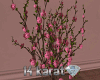 Glamor Sakura tree