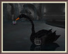 Eclipse Black Swan