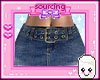 Belt rl