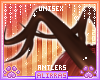 🌸; Spice Antlers