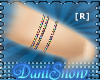 {DSD}Rainbow Armband [R]