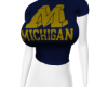 ꫀ michigan