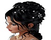 Rachelle Black V5