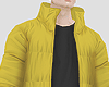 вя. Yellow Jacket