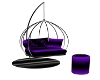 Purple Passion Swing