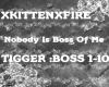 XKITTEN-TIGGERS BOSS1-10