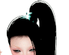 A/ Black & Teal Pony