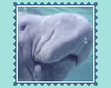 Manatee Biggie Stamp 2