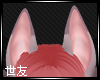 𝓢 - Haru ears 4