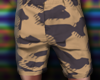 Camo Chino Shorts