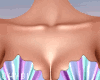 C~V5 Seashells Set