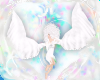 ~C~White Wings