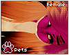 [Pets] Coralia | hair v2