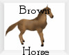 Ella Brown Horse