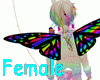 Rainbow Butterfly wings