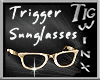TWx:Gold Trigger Sunglas