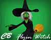 CB Flyin' Wicked Witch