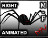 (MV) RedBack Rt Spider