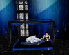Blue Rose Canopy bed