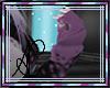 {AC} Alyna F armwarmers