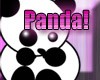 Panda! (the pissed)