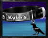 Kyle's Collar Chris