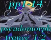 pp1-14 pseudomorph 1/2