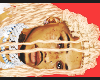 V. Vik Braided Locs II