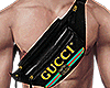 Bag Gucci $$