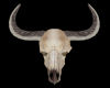 Bull Skull