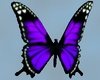 !T! Pet | Butterflies 2