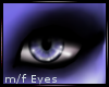 K!t - Kathleen Eyes