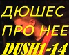 Dyushes - pro neye