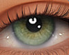 ✔ Eyes
