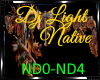 *Dj Light Native